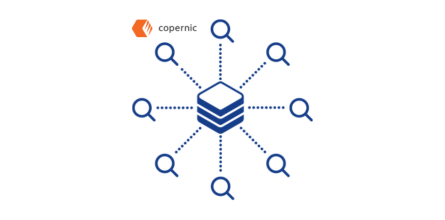 Copernic Business Server Search